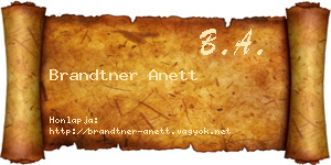 Brandtner Anett névjegykártya